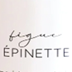 FIGUE-EPIN